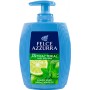 1 - Felce Azzurra Con Antibatterico Menta e Lime 300ml