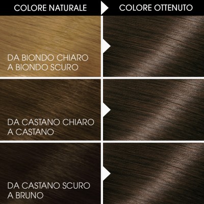 1 - Garnier Belle Color hair colour Brown