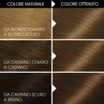 1 - Garnier Belle Color hair colour Brown