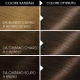 1 - Garnier Belle Color Castano Naturale 22