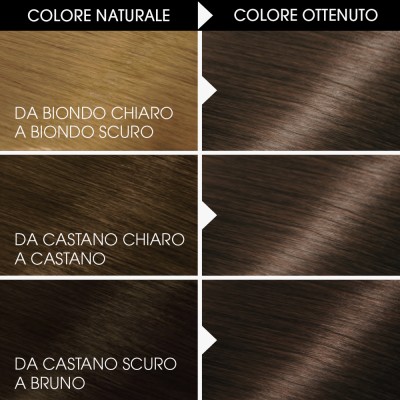 1 - Garnier Belle Color hair colour Brown