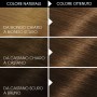 1 - Garnier Belle Color hair colour Brown