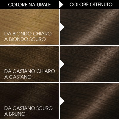 1 - Garnier Belle Color hair colour Brown