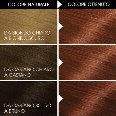 1 - Garnier Belle Color hair colour Mahogany