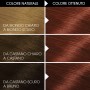 1 - Garnier Belle Color hair colour Mahogany