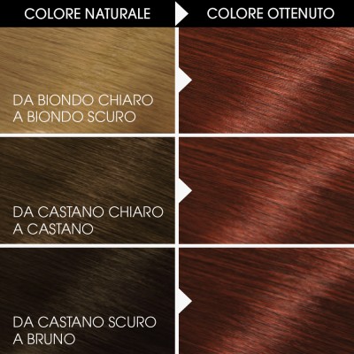 1 - Garnier Belle Color Mogano Scuro Naturale 51