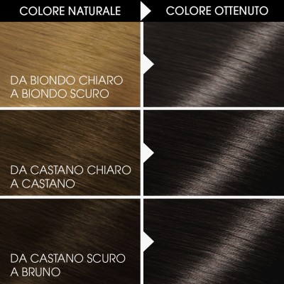 1 - Garnier Belle Color hair colour Black