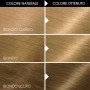 1 - Garnier Belle Color hair colour Blonde