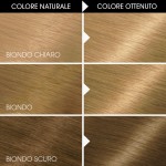 1 - Garnier Belle Color hair colour Blonde
