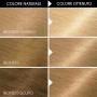 1 - Garnier Belle Color Biondo Chiarissimo Dorato 112