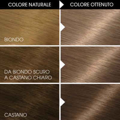 1 - Garnier Belle Color hair colour Blonde