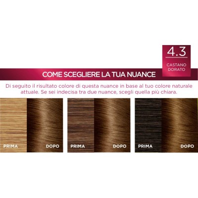1 - L’Oréal Paris Excellence Crème Castano Dorato 4.3