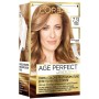 1 - L’Oréal Paris Age Perfect by Excellence, 7.31 Biondo Ambra