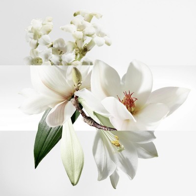 1 - Hermes Un Jardin sur la Lagune Gel doccia per il corpo 200ml