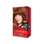 1 - Revlon ColorSilk Beautiful Color 43 Medium Golden Brown