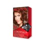 1 - Revlon ColorSilk Beautiful Color 46 Medium Golden Chestnut Brown