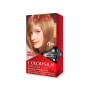 1 - Revlon ColorSilk Beautiful Color 61 Dark Blonde