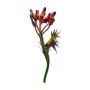 1 - Clarins Extra-Firmingxtra-Firming Day Cream 50ml