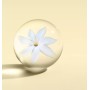 1 - Molton Brown Flora Luminare Eau de Toilette 100ml