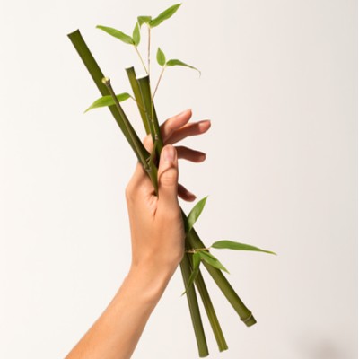 1 - Erborian Bamboo Waterlock 80ml