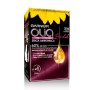 1 - Garnier Olia 3.16 Violino Profondo