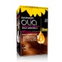 1 - Garnier Olia hair colour Red