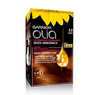 1 - Garnier Olia 5.3 Castano Dorato