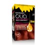 1 - Garnier Olia hair colour Red