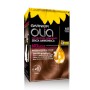 1 - Garnier Olia 6.0 Castano Chiaro