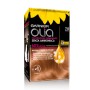 1 - Garnier Olia hair colour Blonde