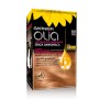 1 - Garnier Olia hair colour Blonde