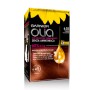 1 - Garnier Olia hair colour Red