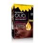 1 - Garnier Olia hair colour Brown