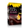 1 - Garnier Olia 4.15 Marron Glacé