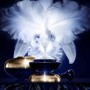1 - Guerlain Orchidée Impériale The Molecular Concentrate Eye Cream 20 ml