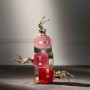 1 - Jean Paul Gaultier Scandal Le Parfum For Her Eau De Parfum 50ml