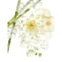 1 - Bvlgari Omnia Crystalline Eau de Toilette