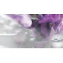 1 - Cartier Eau de_Cartier Concentrate Uomo 200 ml