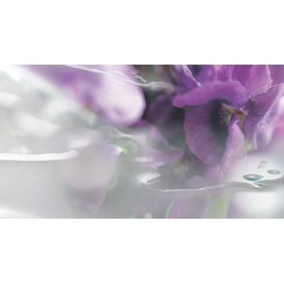 1 - Cartier Eau de_Cartier Concentrate Uomo 200 ml