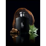 1 - Ralph Lauren Polo Black Eau de Toilette
