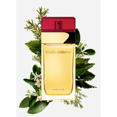 1 - Dolce&Gabbana Pour Femme Eau de Toilette 100 ml