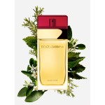 1 - Dolce&Gabbana Pour Femme Eau de Toilette 100 ml