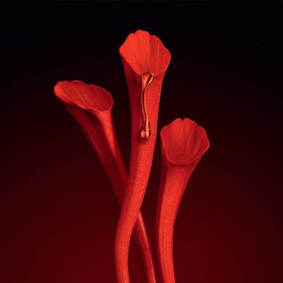 1 - Yves Saint Laurent Or Rouge L’Huile 30 ml