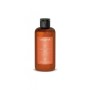 1 - Vitality's Care & Style Sole Shampoo 250 ml