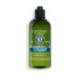 1 - L'Occitane Shampoo Anti-Forfora 300ml