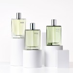 1 - Hermes H24 Herbes Vives Eau De Parfum 50 ml