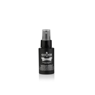 1 - Labor Pro Gordon Fixing Spray Hair spray Unisex 60 ml