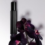 1 - TOM FORD Black Orchid Eau De Parfum Set 50 ml 10 ml