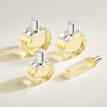 1 - Hermes Barénia Eau De Parfum 100 ml