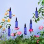 1 - Melvita Eau Florale De Lavande Bio Lozione per viso 200 ml Donna